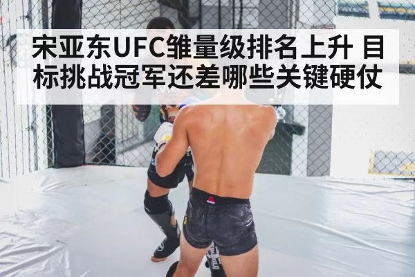 宋亚东UFC雏量级排名上升 目标挑战冠军还差哪些关键硬仗